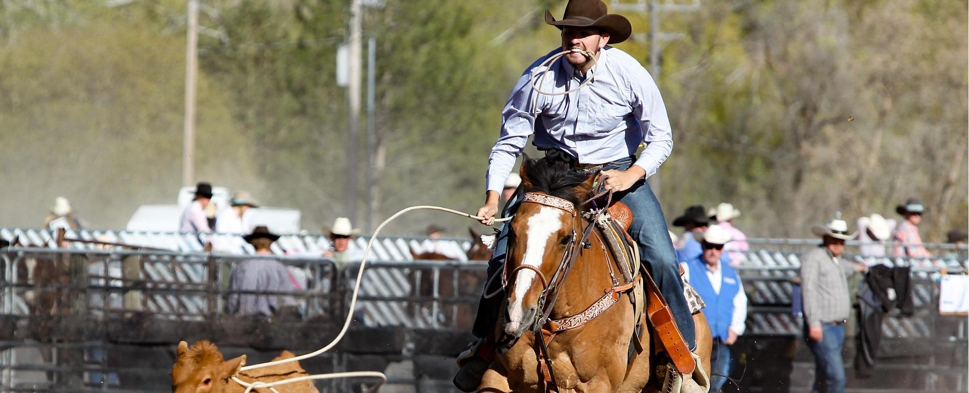 Men's Western Denim Store -Men's Western Denim Store rodeo 3578531 1920